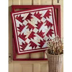 A Country's Call - Civil War Quilts and Stories of Unsung Heroines, by Mary Etherington & Connie Tesene - Martingale