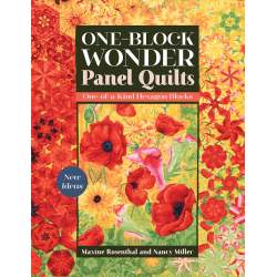 One Block Wonder Panel Quilts, New ideas, one of a kind hexagon blocks by Maxine Rosenthal & Nancy Miller