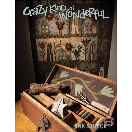 Crazy Kind of Wonderful by Janet Nesbitt
