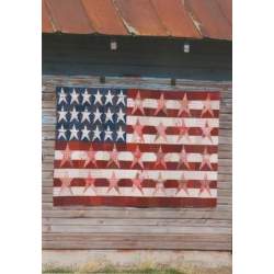 Half Crazy by Janet Nesbitt