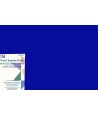 EzQuilting Foglio in Plastica per Template - colore Blu