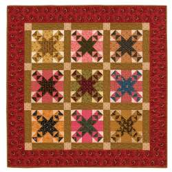A Country's Call - Civil War Quilts and Stories of Unsung Heroines, by Mary Etherington & Connie Tesene - Martingale