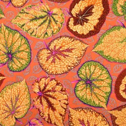 Tessuto Arancione - Big Leaf by Phillip Jacobs