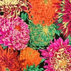 Tessuto Nero - Japanese Chrysanthemum by Phillip Jacobs