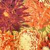 Tessuto Verde - Japanese Chrysanthemum by Phillip Jacobs