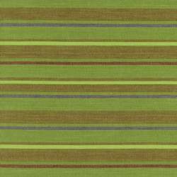 Tessuto a righe - Stripe Alternating Grass by Kaffe Fassett
