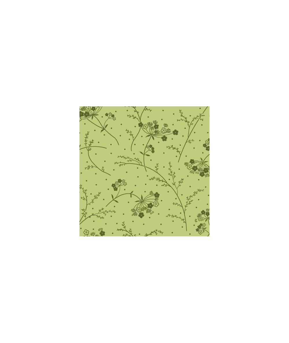 Maywood Studio KimberBell Quilt Backs 108 Green Make a Wish, Tessuto per Retro Quilt Verde con Rametti Maywood Studio - 1