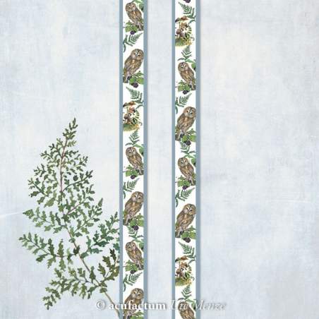 Acufactum Webband Waldeule - Nastro 100% Poliestere Chiaro con Gufi e Bordino Azzurro - 16 mm