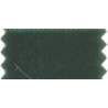 Nastro di Velluto 100% Poliammide Colore Verde Scuro - 22 mm