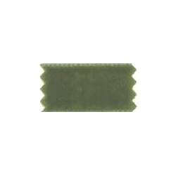 Nastro di Velluto 100% Poliammide Colore Verde - 22 mm