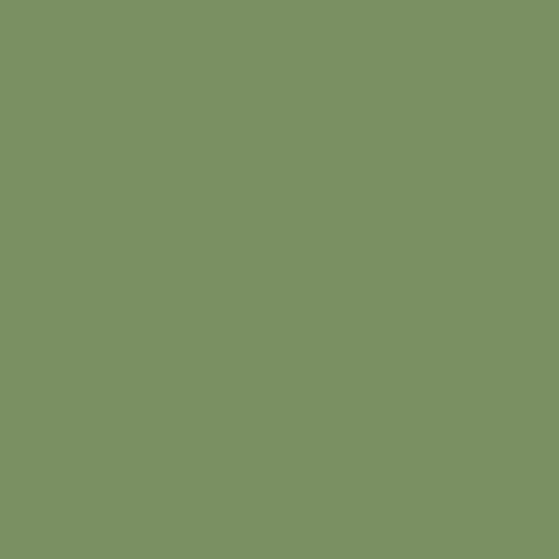 Tilda Solid Basics Pine - Tessuto Verde Pino Tinta Unita Tilda Fabrics - 1