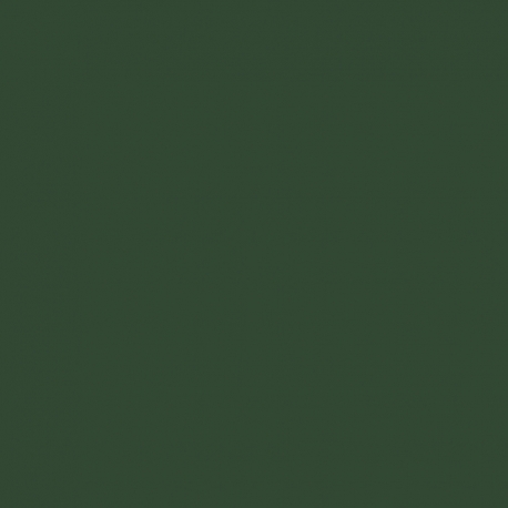 Lecien 1000 Colors, Tessuto Verde Pesto Tinta Unita Lecien Corporation - 1