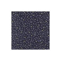 1 Fat Quarter Winter...