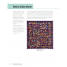 Euphoria Tapestry Quilts: 40 Appliqué Motifs & 17 Flowering Projects by Deborah Kemball C&T Publishing - 4