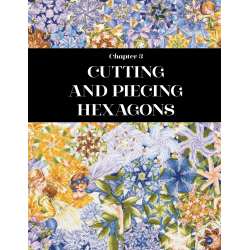 One Block Wonder Panel Quilts, New ideas, one of a kind hexagon blocks by Maxine Rosenthal & Nancy Miller