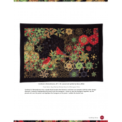 One Block Wonder Panel Quilts, New ideas, one of a kind hexagon blocks by Maxine Rosenthal & Nancy Miller