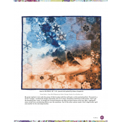 One Block Wonder Panel Quilts, New ideas, one of a kind hexagon blocks by Maxine Rosenthal & Nancy Miller