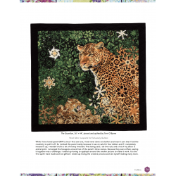 One Block Wonder Panel Quilts, New ideas, one of a kind hexagon blocks by Maxine Rosenthal & Nancy Miller