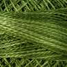 Valdani, Filato da Ricamo Pearl Cotton 12 Colorfast,  Variegated O560 - Morning Grass - fresh grass greens