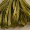 Nastro di Seta sfumato, Montano Willow Green - Silk Ribbon, Treenway Silks