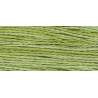 Weeks Dye Works, Filato da ricamo Pearl Cotton Titolo 8, Scuppernong Green