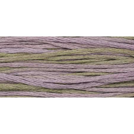 Weeks Dye Works, Filato da ricamo Mulinè - Cotton Floss, Basil