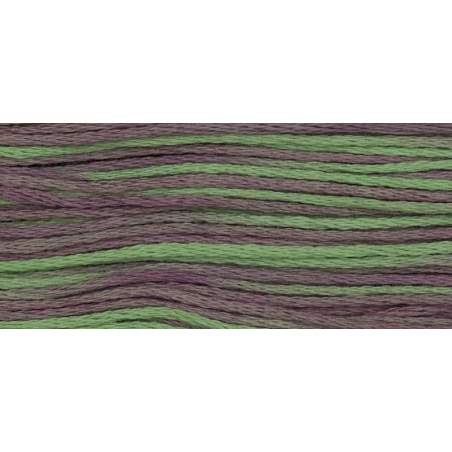 Weeks Dye Works, Filato da ricamo Mulinè - Cotton Floss, Madras