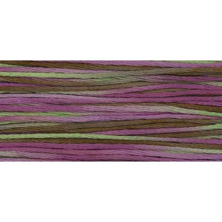 Weeks Dye Works, Filato da ricamo Mulinè - Cotton Floss, Spumoni