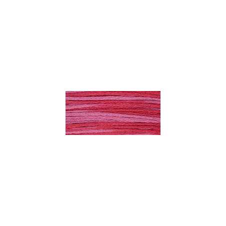 Weeks Dye Works, Filato da ricamo Mulinè - Cotton Floss, Begonia