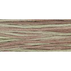 Weeks Dye Works, Filato da ricamo Mulinè - Cotton Floss, Saltwater Taffy Weeks Dye Works - 1