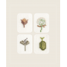 Cross Stitch Wildflowers and Grasses, 32 progetti di ricamo a tema botanico