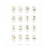 Cross Stitch Wildflowers and Grasses, 32 progetti di ricamo a tema botanico