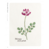 Cross Stitch Wildflowers and Grasses, 32 progetti di ricamo a tema botanico