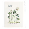 Cross Stitch Wildflowers and Grasses, 32 progetti di ricamo a tema botanico
