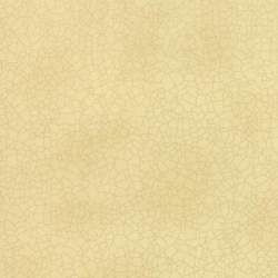 Moda Fabrics Crackle Basic - Tessuto Beige Crackle Moda Fabrics - 1