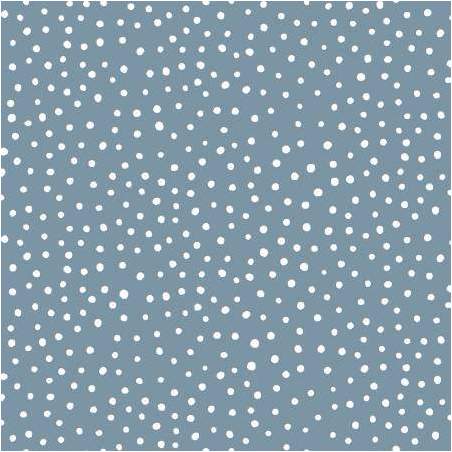 Tessuto grigio azzurro con pois bianchi - Slate Blue Happiest Dots by RJR Collection RJR - 1