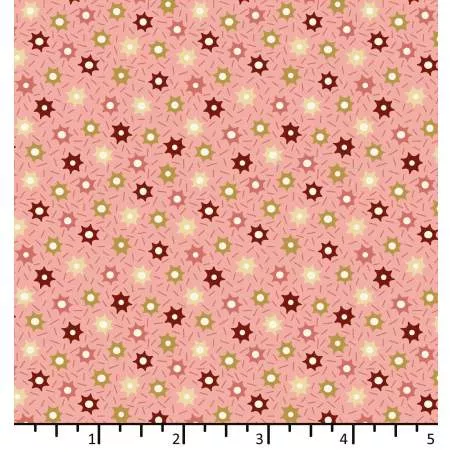 Tessuto Rosa Salmone con stelle - EQP Forever, Sprinkles Rose