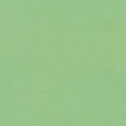 Kona Cotton Spring, Tessuto Verde Primavera Tinta Unita - Robert Kaufman Robert Kaufman - 1