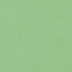 Kona Cotton Spring, Tessuto Verde Primavera Tinta Unita - Robert Kaufman Robert Kaufman - 1