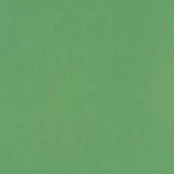 Kona Cotton Laurel, Tessuto Verde Alloro Tinta Unita - Robert Kaufman Robert Kaufman - 1