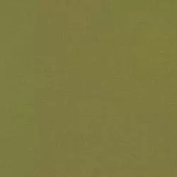 Kona Cotton Ivy, Tessuto Verde Edera Tinta Unita - Robert Kaufman Robert Kaufman - 1