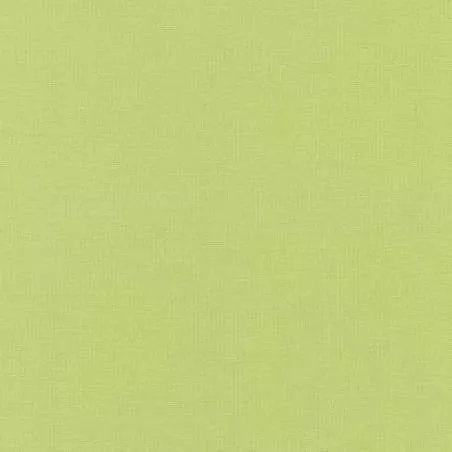 Kona Cotton Green Tea, Tessuto Tè Verde Tinta Unita - Robert Kaufman Robert Kaufman - 1