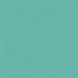 Kona Cotton Sage, Tessuto Verde Salvia Tinta Unita - Robert Kaufman Robert Kaufman - 1