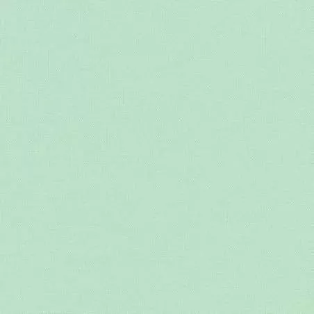 Kona Cotton Seafoam, Tessuto Verde Spuma del Mare Tinta Unita - Robert Kaufman Robert Kaufman - 1