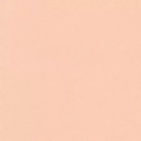 Kona Cotton Ice Peach, Tessuto Rosa Pesca Ghiacciata Tinta Unita - Robert Kaufman Robert Kaufman - 1