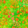 Artisan Batiks: Floral Fantasy Collection, Tessuto Lime - Robert Kaufman