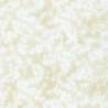 Fusions Ecru, Tessuto Beige Sfumato con Rametti Tono su Tono - Robert Kaufman