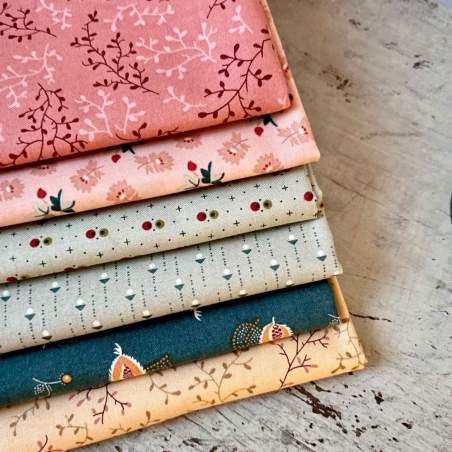 6 Fat Quarter di tessuti EQP collezioni miste, 50 x 55 cm - bundle 4