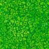Artisan Batiks: Floral Fantasy Collection, Tessuto Green - Robert Kaufman Robert Kaufman - 1 Artisan Batiks: Floral Fantasy Collection, Tessuto Green - Robert Kaufman Robert Kaufman - 1