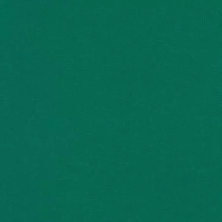 Kona Cotton Willow , Tessuto Verde Bandiera Intenso Tinta Unita - Robert Kaufman Robert Kaufman - 1